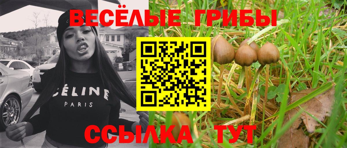 Псилоцибиновые грибы MAGIC MUSHROOMS  Вход с VPN  Назарово 